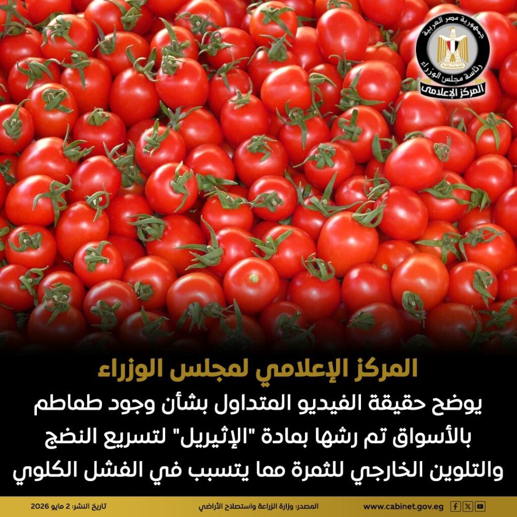 الحكومة تحسم الجدل حول فيديو “الطماطم المسرطنة” وتؤكد: لا صحة لرشها بالإثيريل