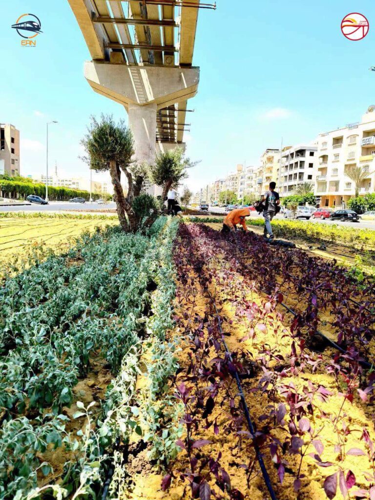 مونوريل غرب النيل نقلة حضارية تعيد تشكيل المشهد العمراني بمدينة أكتوبر