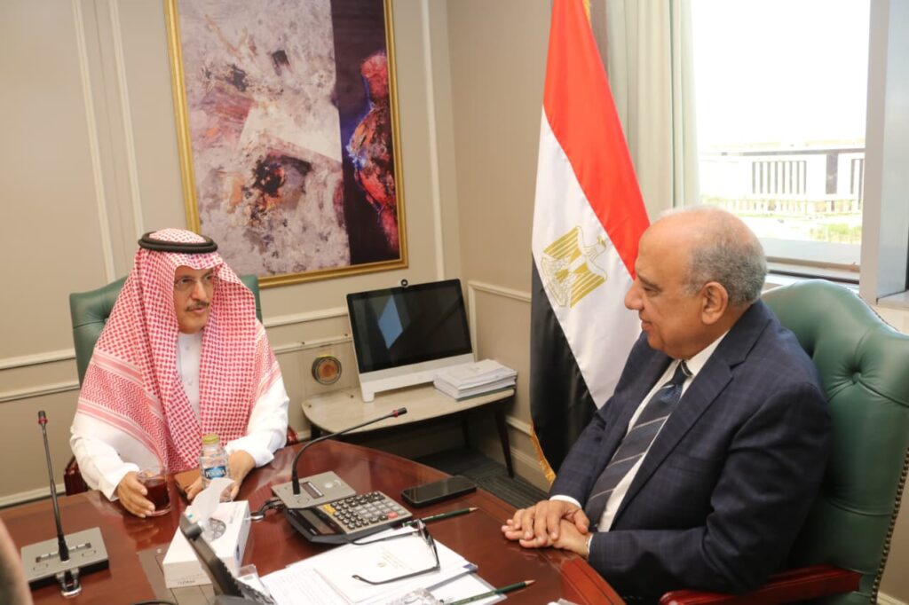 عصمت يوجه بسرعة إنجاز مشروعات «أكواباور» وربطها بالشبكة القومية