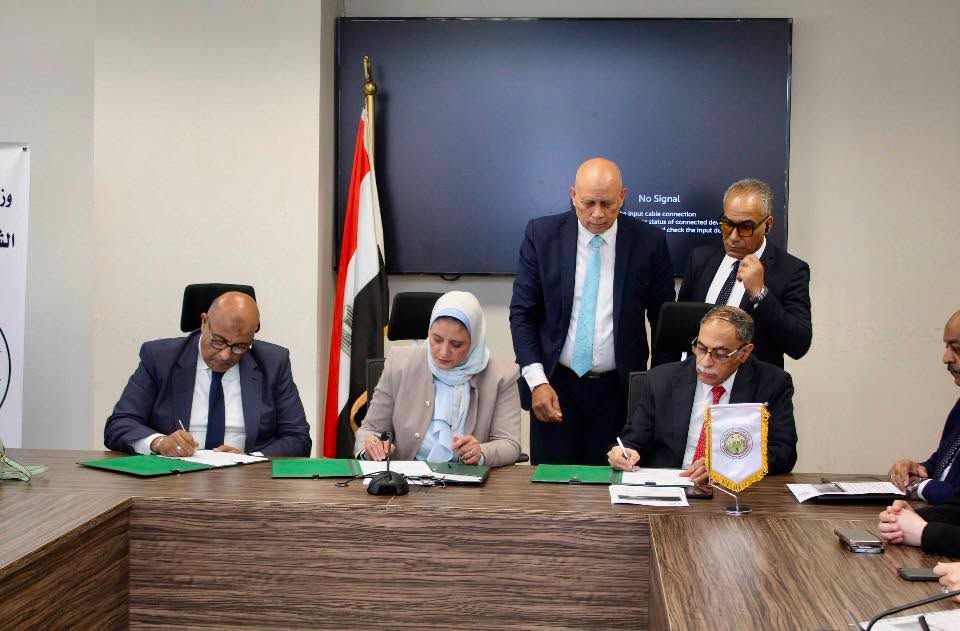 نقل الكهرباء توقع عقدًا لاستيعاب 1100 ميجاوات من طاقة الرياح